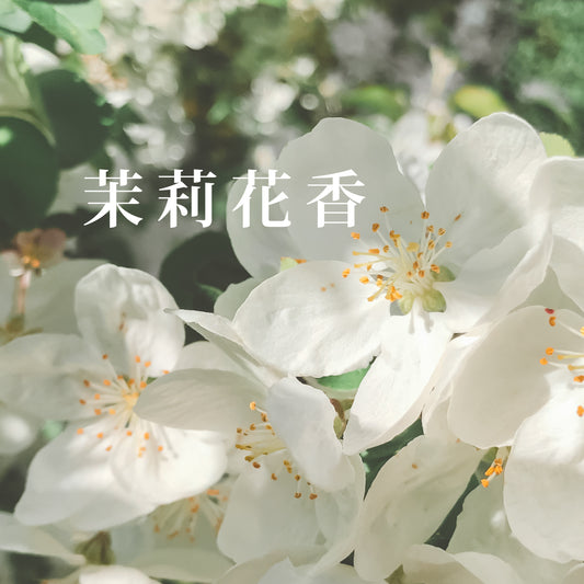 Care Straight Milk 滲透護髮乳