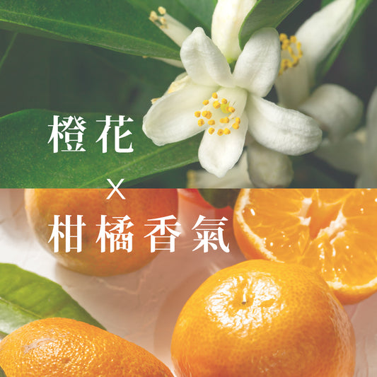 Care Straight Oil 直髮護理油